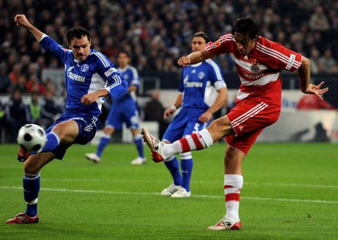 种面积和产 种面积和产